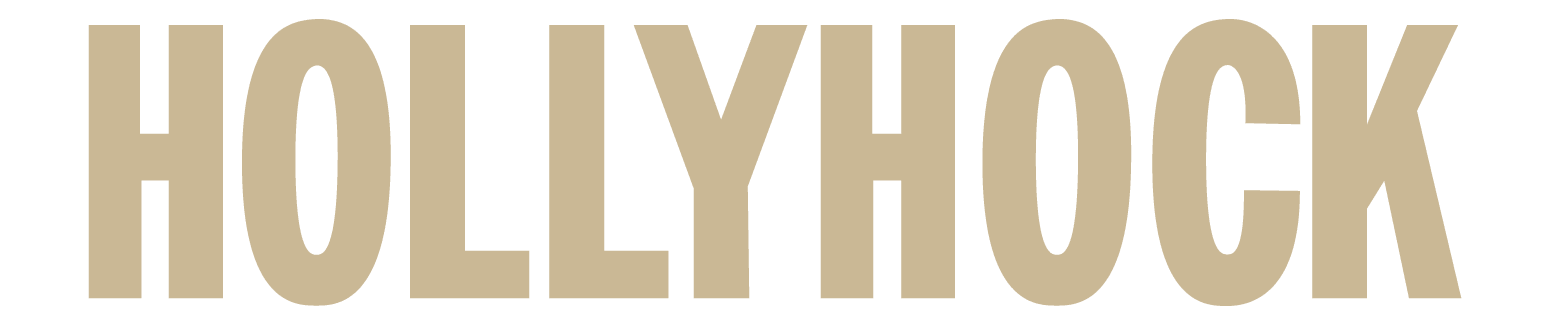 Hollyhock-Logo-Website-New